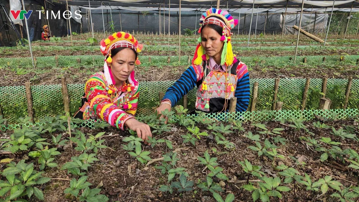 Đảng vi&ecirc;n trẻ - Điểm tựa cho bản l&agrave;ng người La Hủ ở Lai Ch&acirc;u - Ảnh 4.