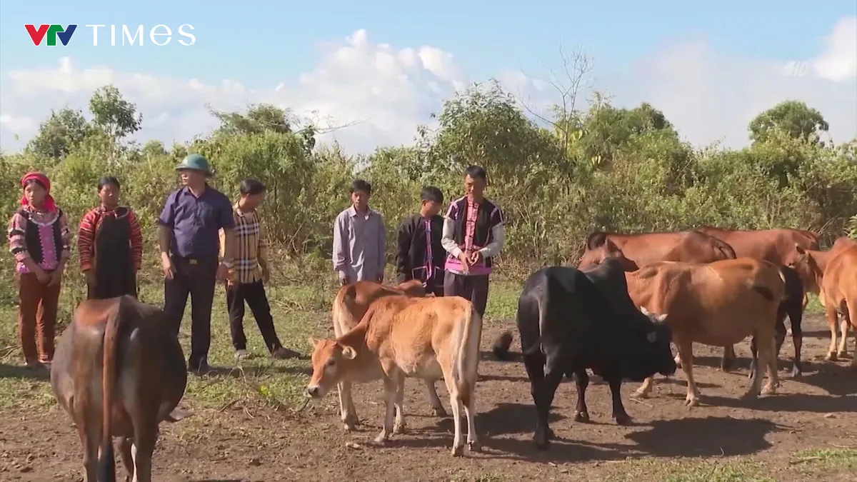 Đảng vi&ecirc;n trẻ - Điểm tựa cho bản l&agrave;ng người La Hủ ở Lai Ch&acirc;u - Ảnh 7.