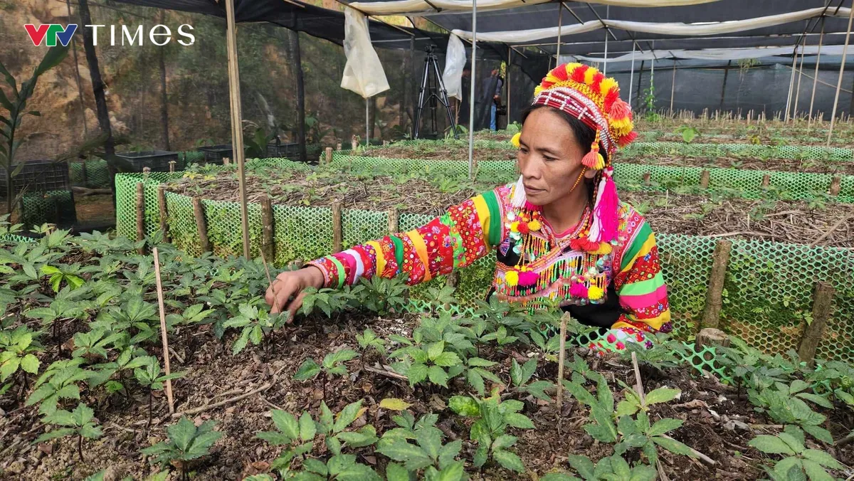 Đảng vi&ecirc;n trẻ - Điểm tựa cho bản l&agrave;ng người La Hủ ở Lai Ch&acirc;u - Ảnh 5.