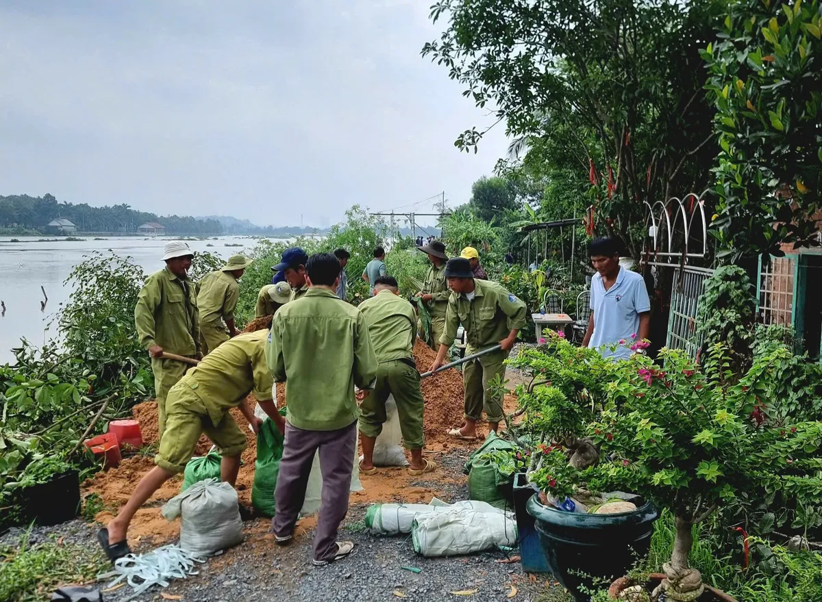 TP Hồ Chí Minh cấp tốc xử lý sạt lở bờ sông Bình Mỹ - Ảnh 1.