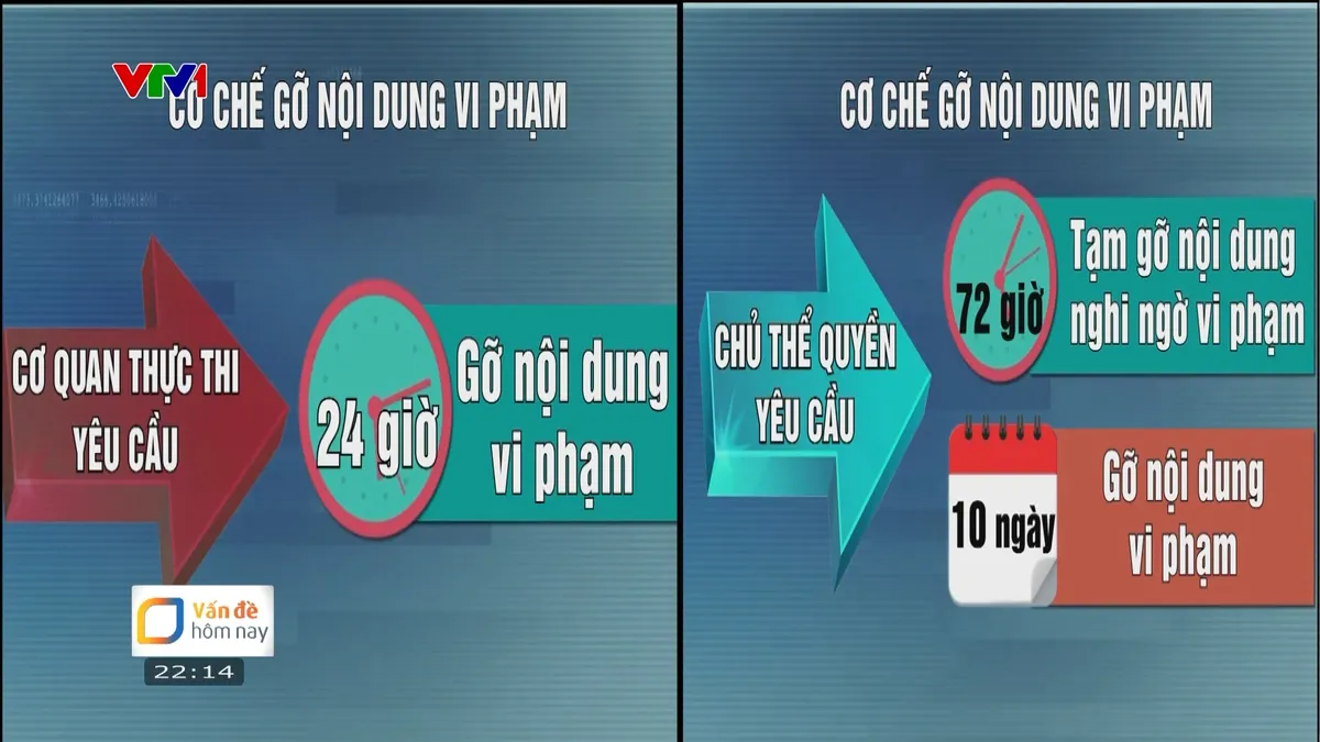 Bản quyền số: Đừng để cuộc chiến chống vi phạm chỉ là rượt đuổi không hồi kết - Ảnh 4.