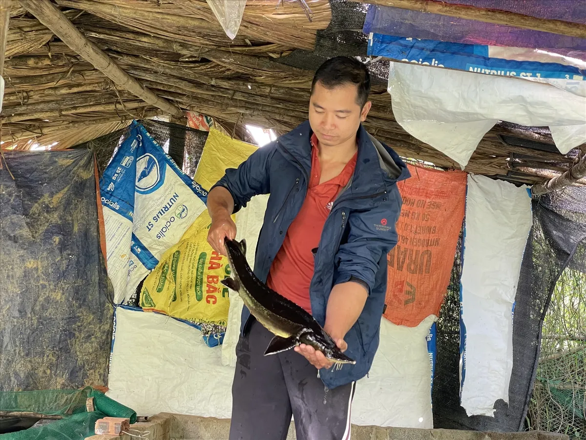 C&ocirc; g&aacute;i Mường v&agrave; h&agrave;nh tr&igrave;nh đ&aacute;nh thức đại ng&agrave;n bằng c&aacute; tầm - Ảnh 2.