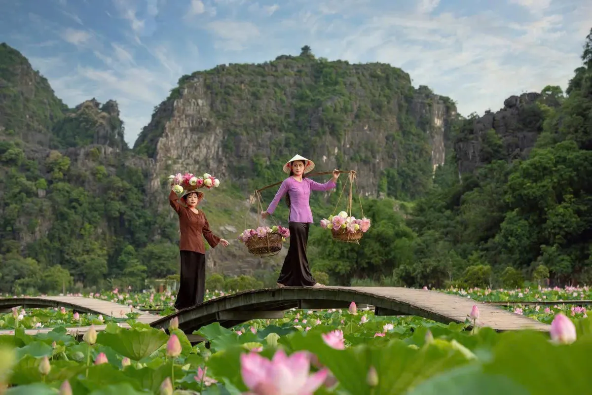 Ninh Bình đón 7,2 triệu lượt khách, đầm sen Hang Múa vào mùa đẹp nhất - Ảnh 1.