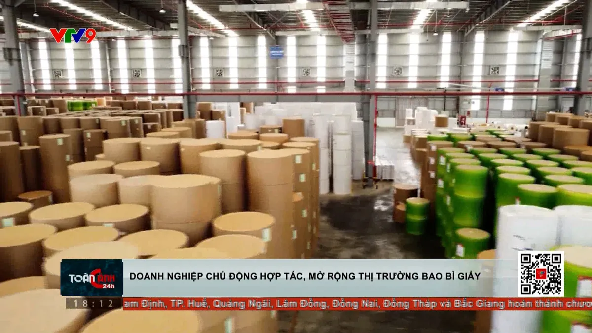 Doanh nghiệp chủ động hợp tác, mở rộng thị trường bao bì giấy Doanh nghiệp chủ động hợp tác, mở rộng thị trường bao bì giấy