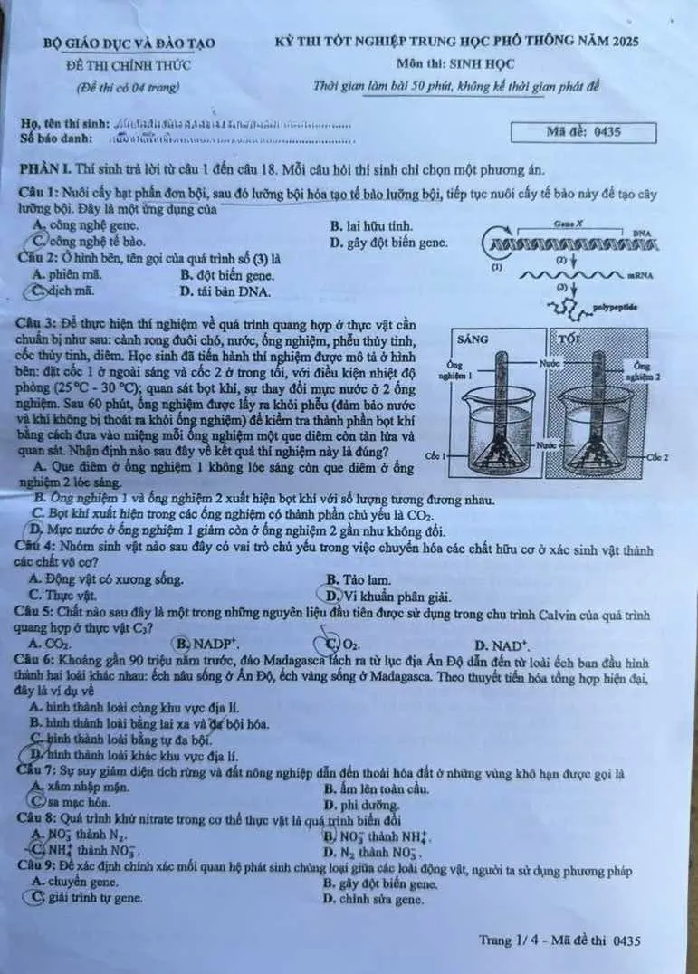 Đề thi môn Sinh học thi tốt nghiệp THPT - Ảnh 1.