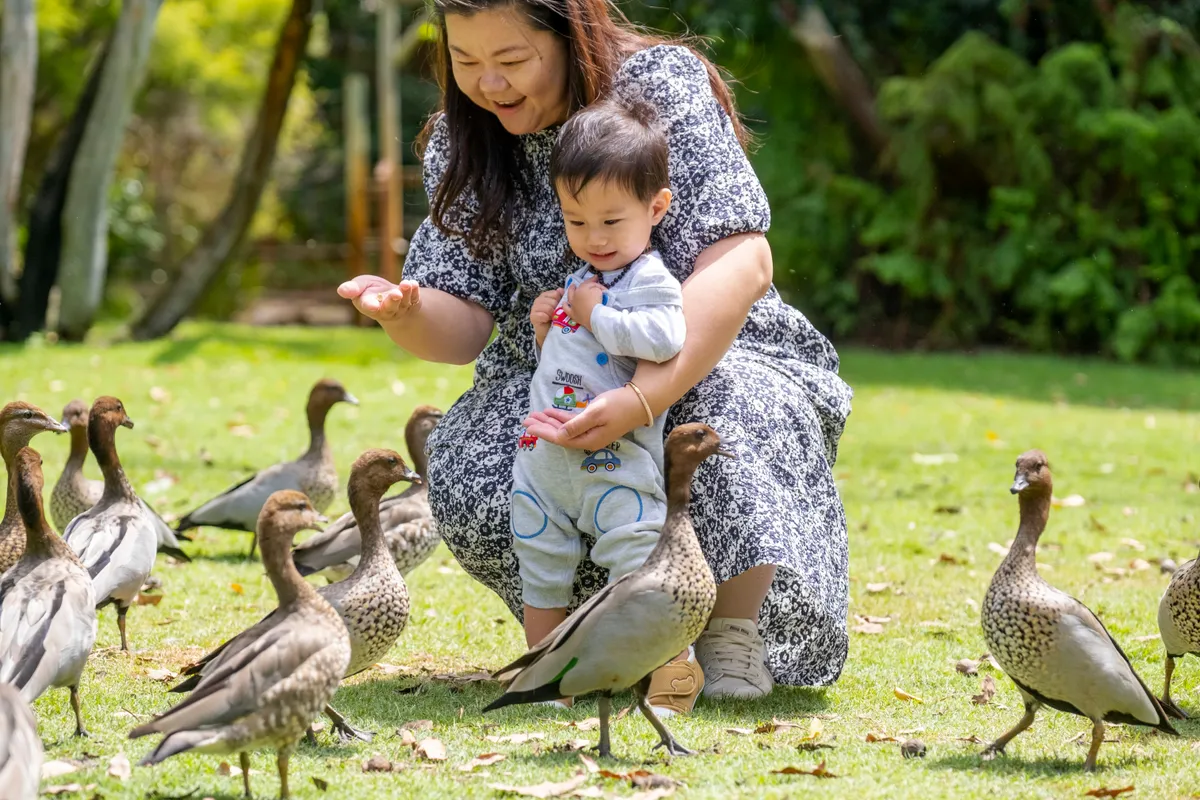 Khám phá vẻ đẹp nguyên sơ của vùng đất Tây Australia - Ảnh 2.