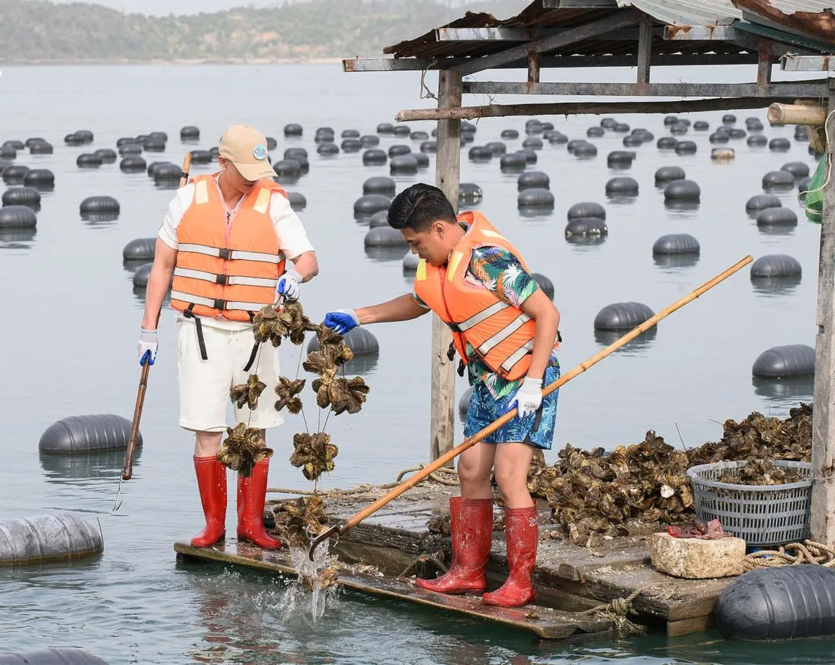 Bố ơi mình đi đâu thế - Tập 4: Các bố ra khơi thu hoạch hàu 'trả nợ' - Ảnh 3.
