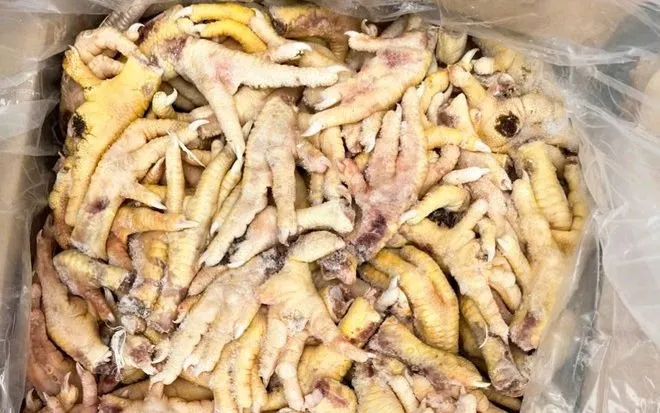 Số chân gà chuẩn bị xuất khẩu Số chân gà chuẩn bị xuất khẩu