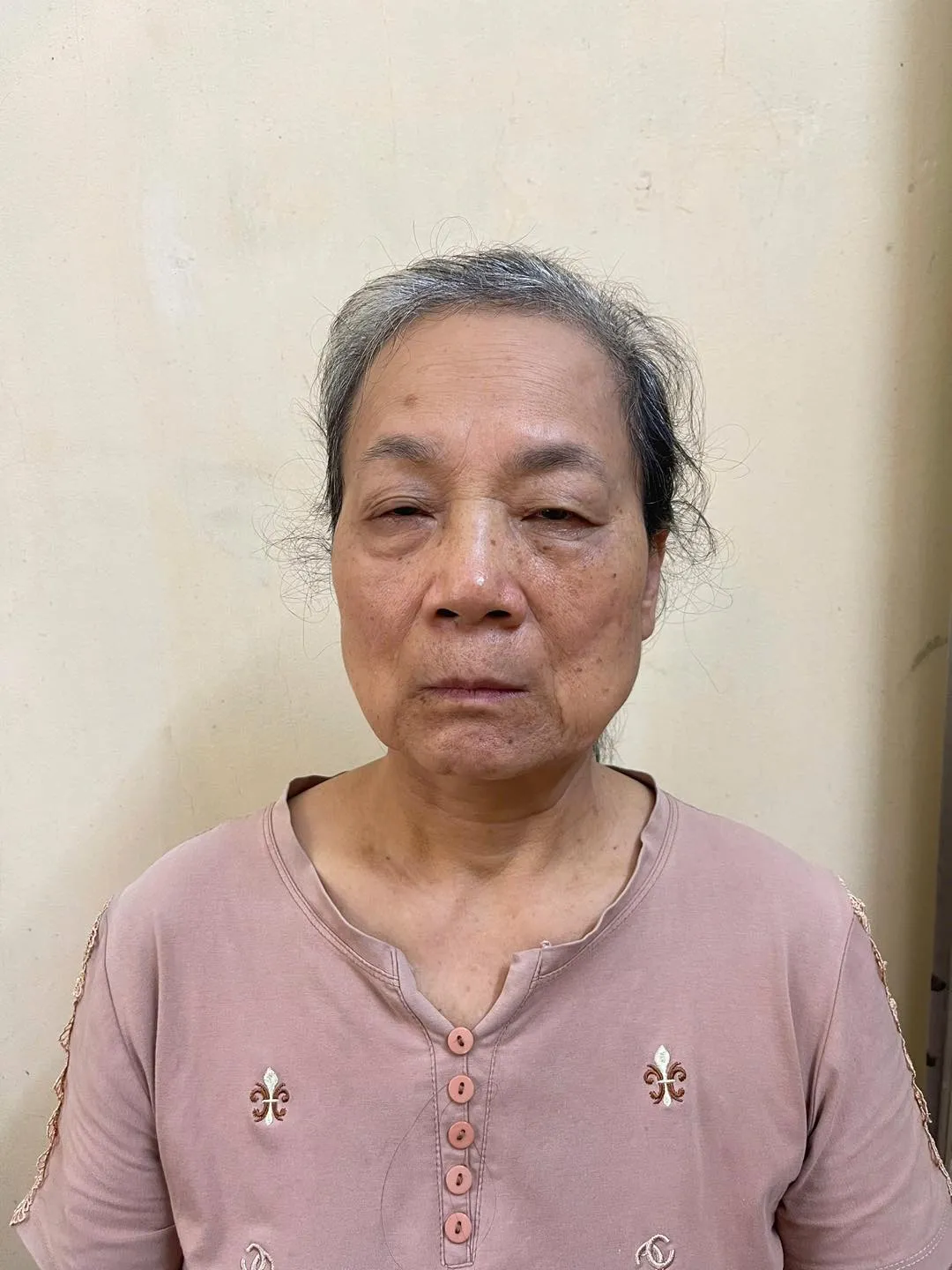 Tuyên Quang: Khởi tố một phụ nữ 64 tuổi về tội lợi dụng mạng xã hội xúc phạm danh dự cá nhân, tổ chức - Ảnh 1.