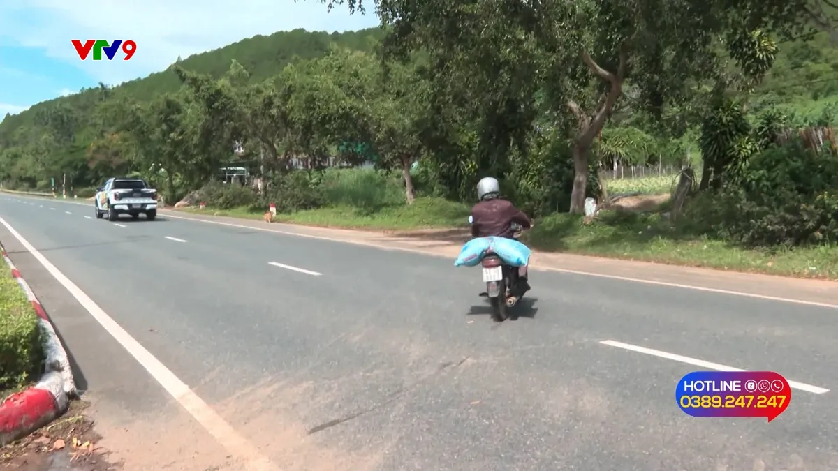 0307-PNHN. Nguy hiểm khi băng ngang qua cao tốc Liên Khương – Prenn.jpg