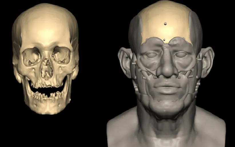(Ảnh: Đại học Liverpool John Moores)