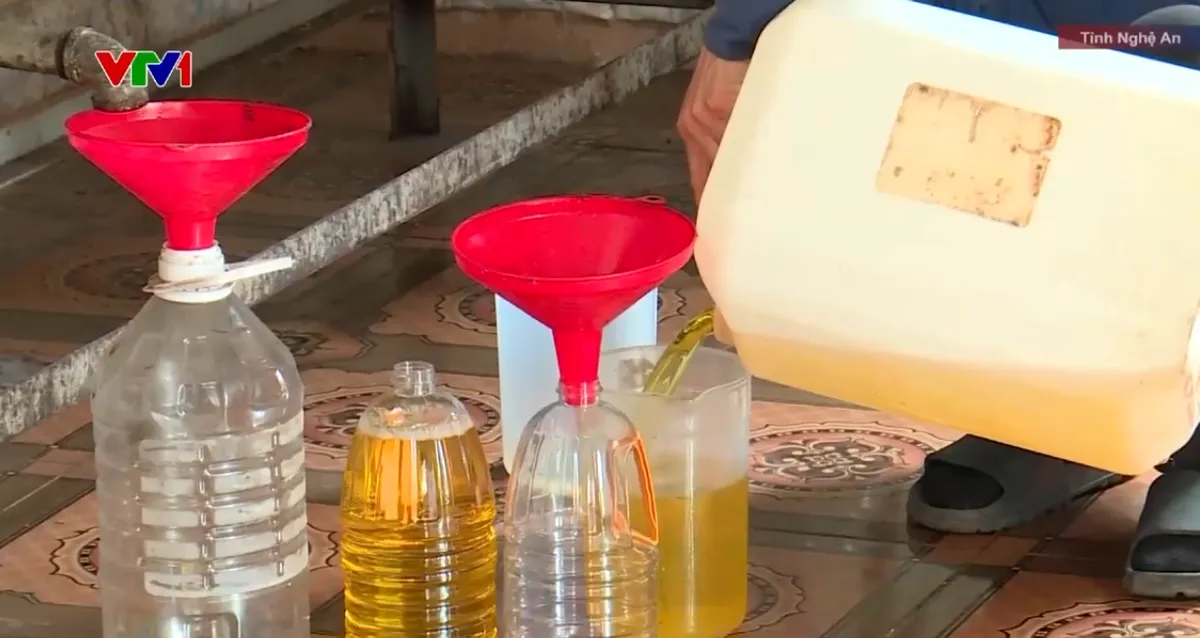 Lo dầu ăn giả, nhiều người mua lạc về ép lấy dầu - Ảnh 1.