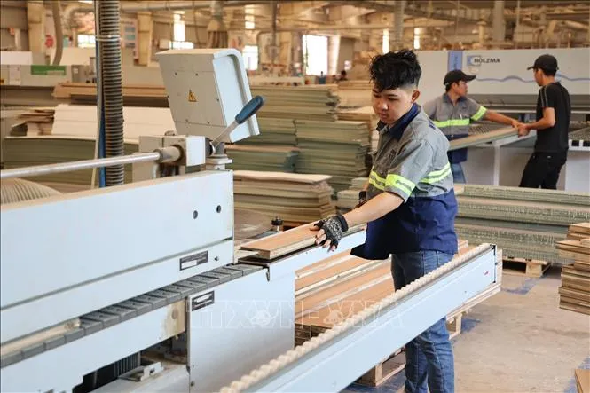 Xuất khẩu Việt Nam vượt "rào thuế Mỹ": Chủ động chuyển mình, củng cố năng lực nội tại - Ảnh 3.