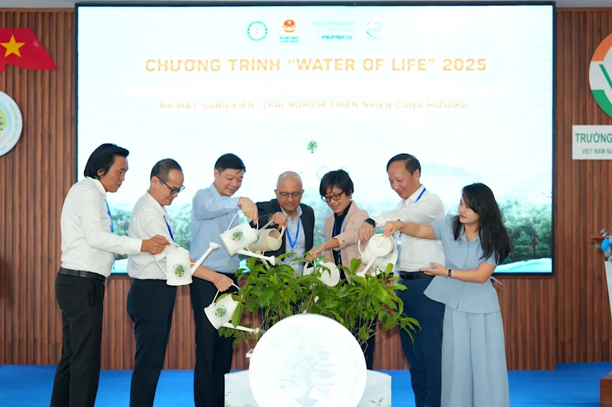 Hợp tác công - tư trồng rừng, giữ nước - Ảnh 1.