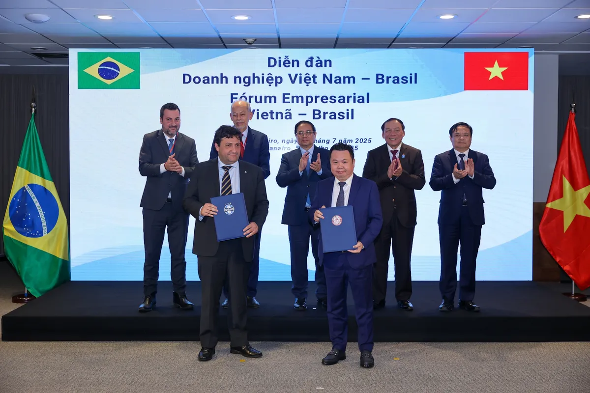 Thủ tướng kêu gọi doanh nghiệp Việt Nam - Brazil hiện thực hóa hàng loạt định hướng mới trong hợp tác kinh tế  - Ảnh 7.
