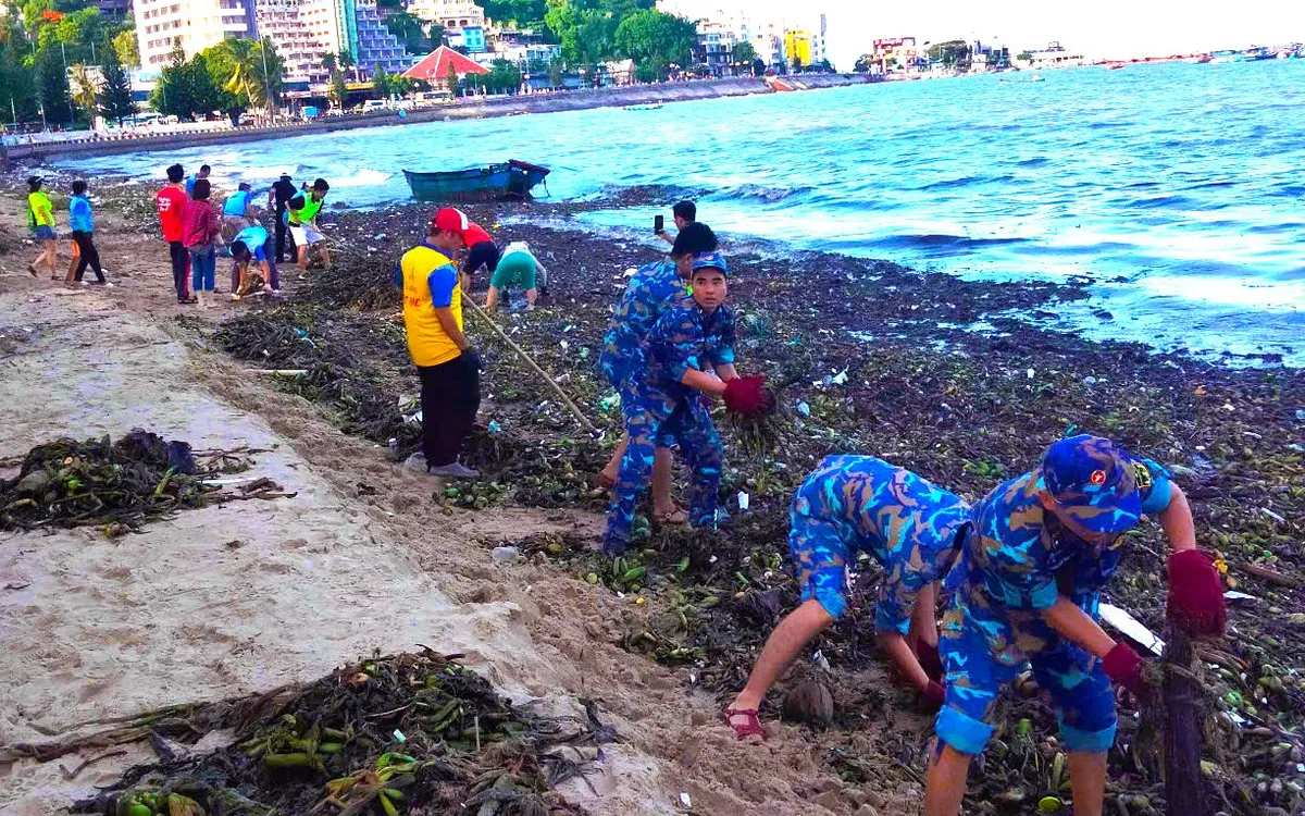 Đoàn viên, thanh niên Trung đoàn 251 tham gia dọn sạch rác bờ biển. Đoàn viên, thanh niên Trung đoàn 251 tham gia dọn sạch rác bờ biển.