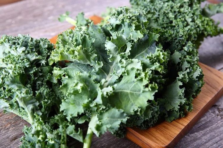 Chọn thực phẩm phù hợp giúp phái nữ cân bằng tinh thần - Ảnh 2.