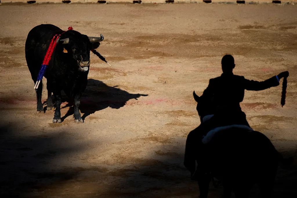 Tây Ban Nha: 8 người bị thương do bò tót húc trong lễ hội San Fermin- Ảnh 1. Tây Ban Nha: 8 người bị thương do bò tót húc trong lễ hội San Fermin- Ảnh 1.