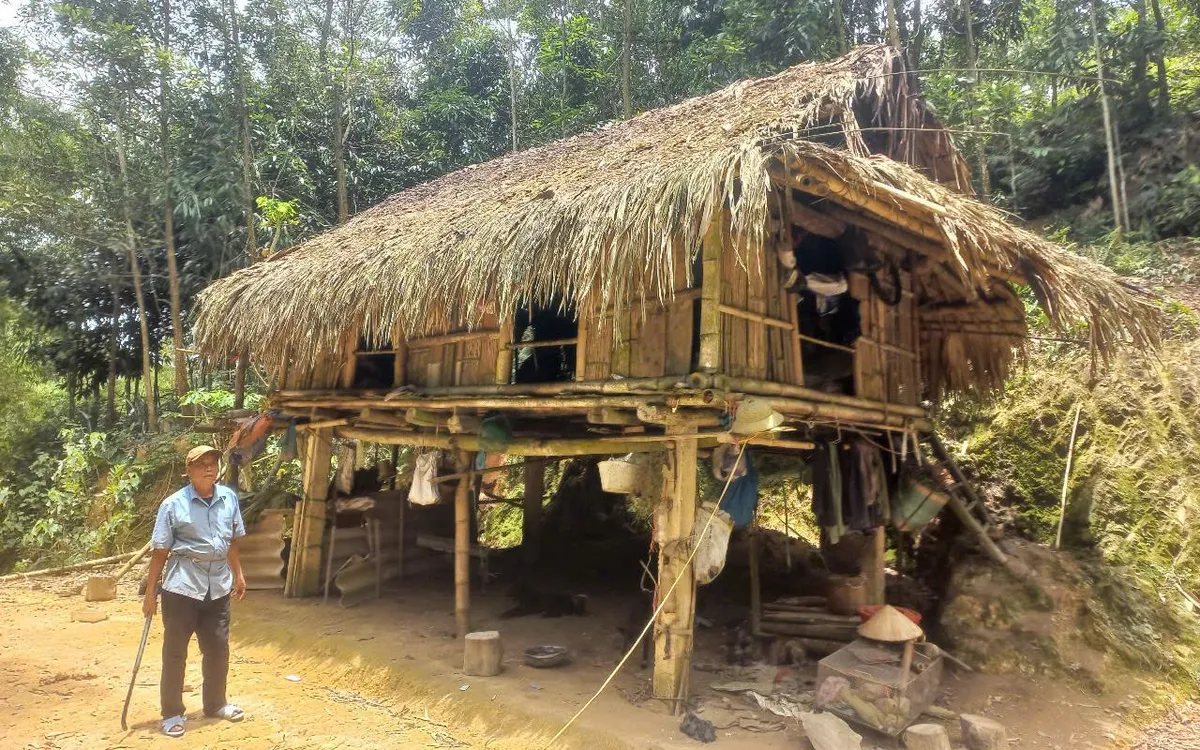 Sáng nào ông Khang cũng mang dao, rựa vào rừng, lặng lẽ chăm sóc từng gốc cây. Sáng nào ông Khang cũng mang dao, rựa vào rừng, lặng lẽ chăm sóc từng gốc cây.