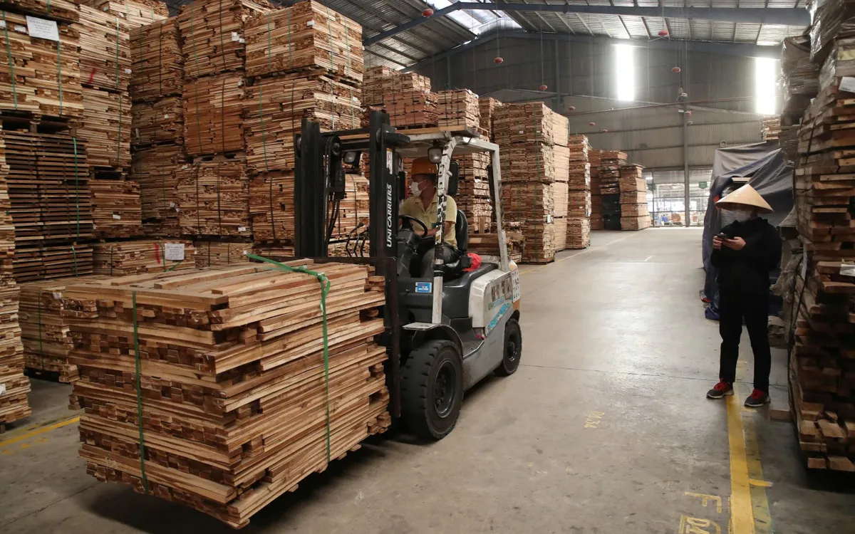 Gỗ nguyên liệu tại nhà máy Scancia Pacific. Ảnh: Hawa