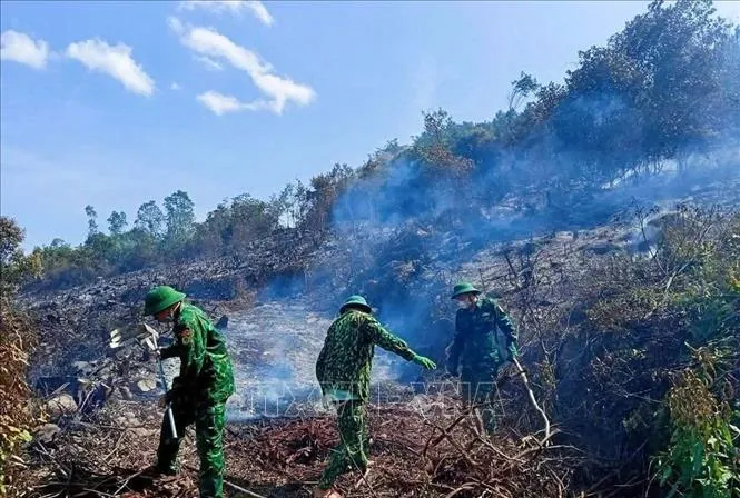 Nghệ An: Kịp thời khống chế, dập tắt vụ cháy rừng - Ảnh 1.