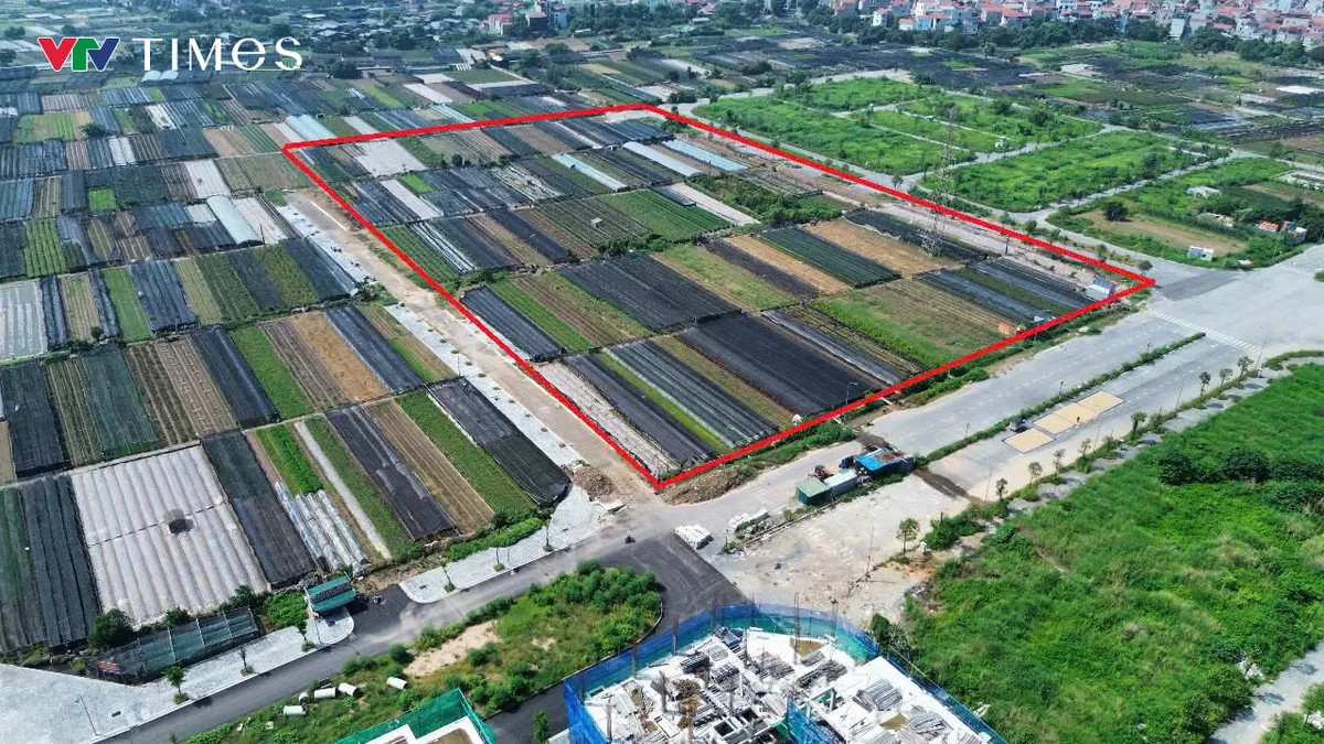 Hơn 3ha đất tại Tây Tựu được quy hoạch xây nhà ở xã hội đến năm 2030 - Ảnh 8.