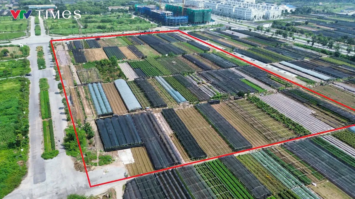 Hơn 3ha đất tại Tây Tựu được quy hoạch xây nhà ở xã hội đến năm 2030 - Ảnh 3.