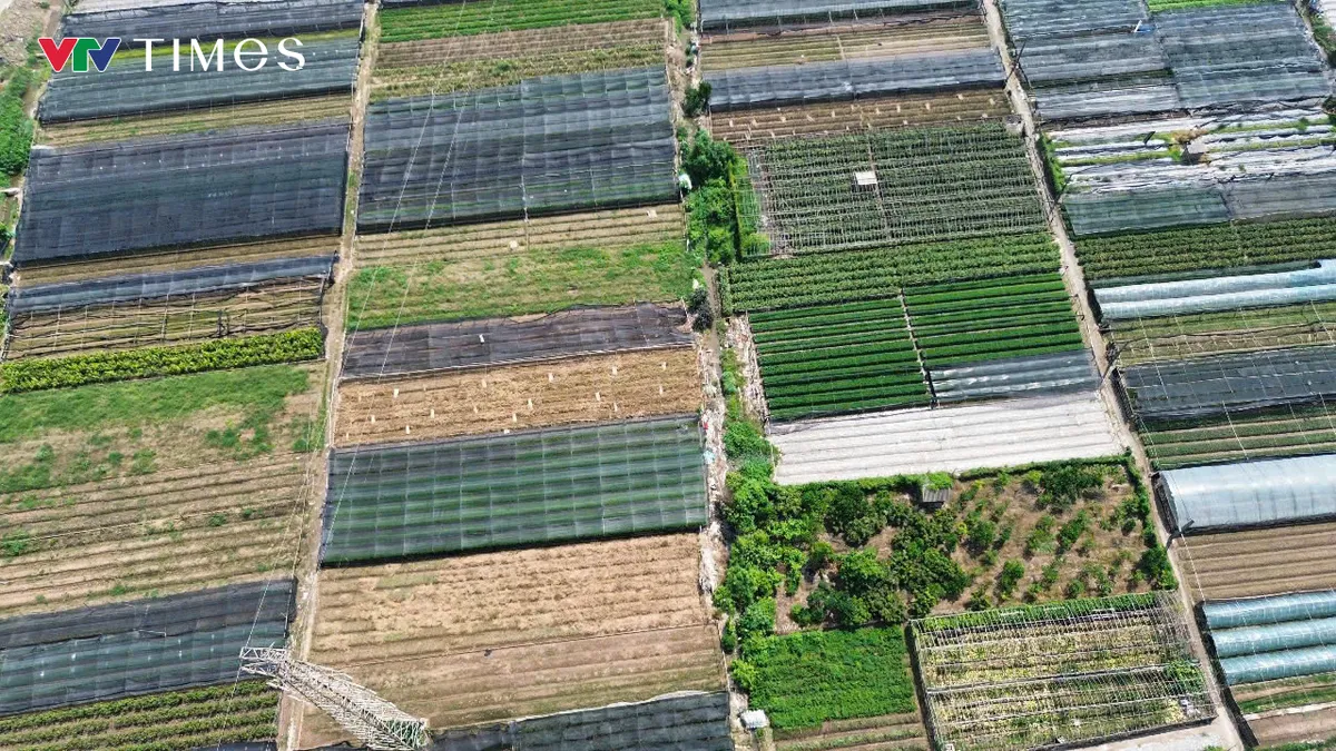 Hơn 3ha đất tại Tây Tựu được quy hoạch xây nhà ở xã hội đến năm 2030 - Ảnh 6.