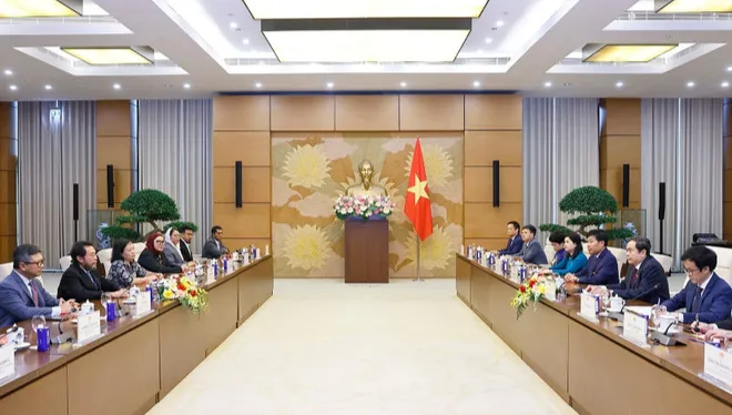 Tăng cường hợp tác lập pháp Việt Nam - Indonesia - Ảnh 2.