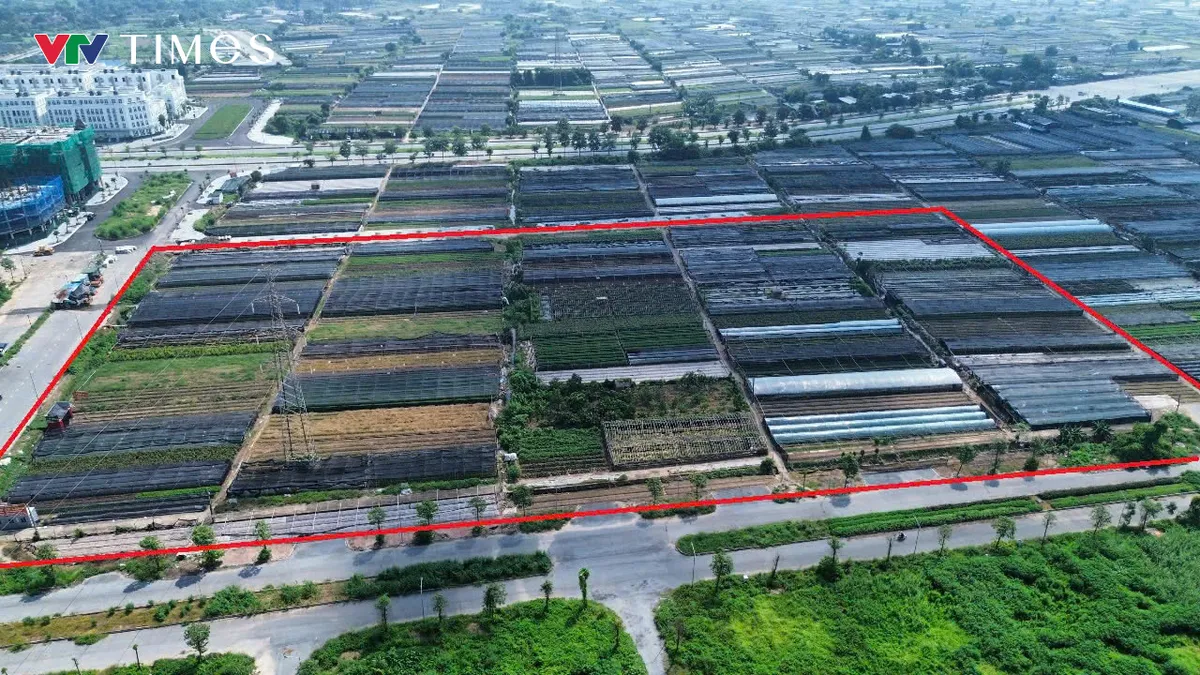 Hơn 3ha đất tại Tây Tựu được quy hoạch xây nhà ở xã hội đến năm 2030 - Ảnh 1.