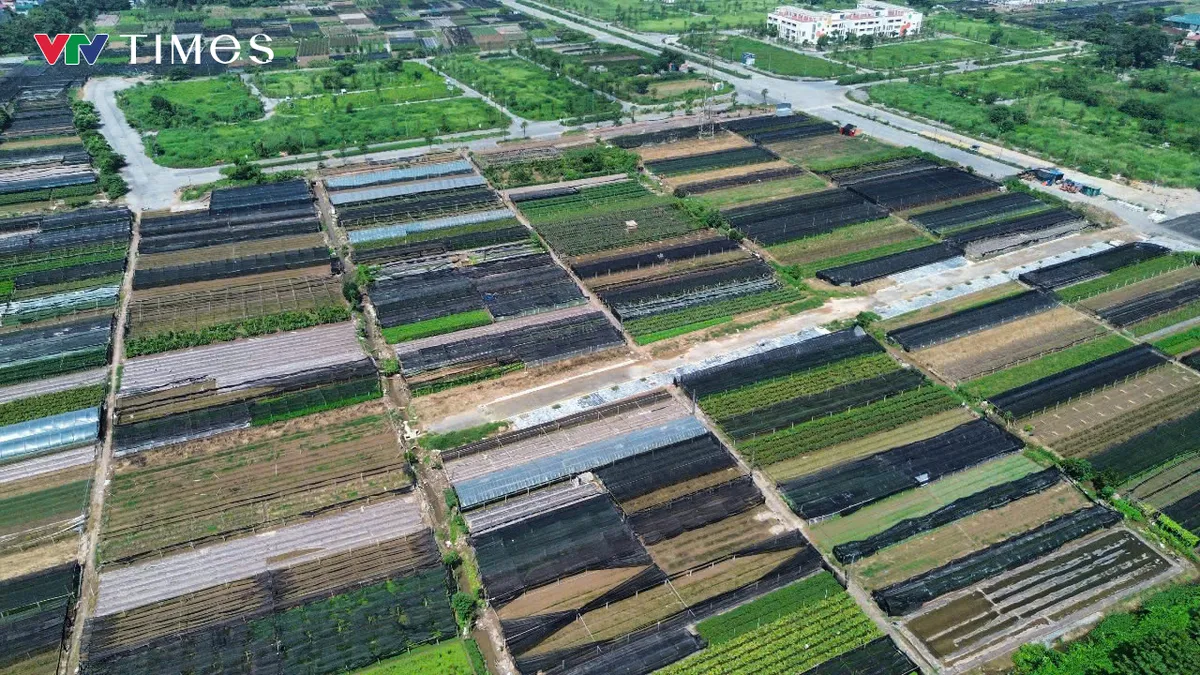 Hơn 3ha đất tại Tây Tựu được quy hoạch xây nhà ở xã hội đến năm 2030 - Ảnh 9.