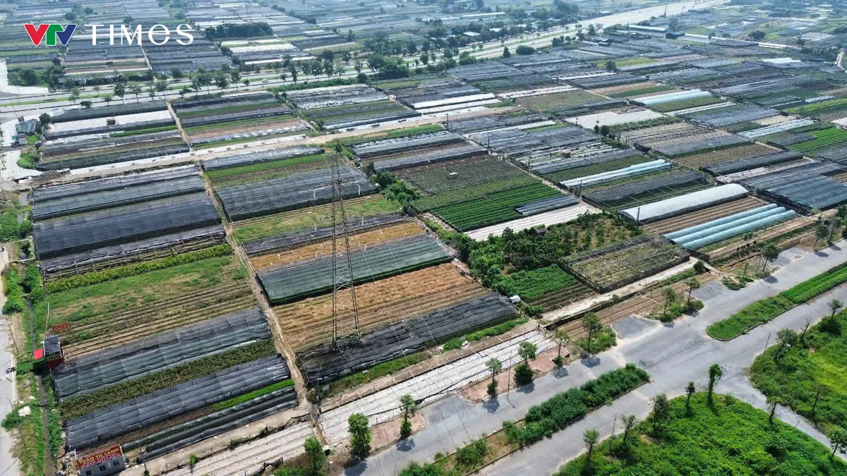 Hơn 3ha đất tại Tây Tựu được quy hoạch xây nhà ở xã hội đến năm 2030 - Ảnh 5.