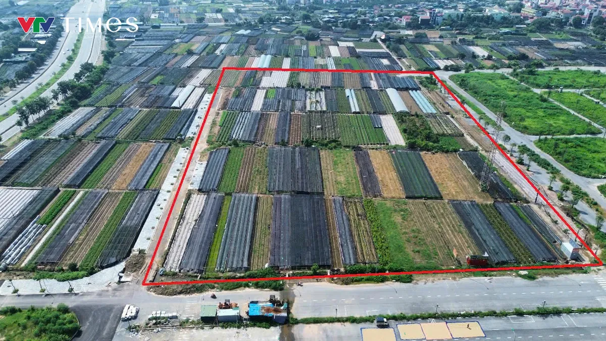 Hơn 3ha đất tại Tây Tựu được quy hoạch xây nhà ở xã hội đến năm 2030 - Ảnh 2.