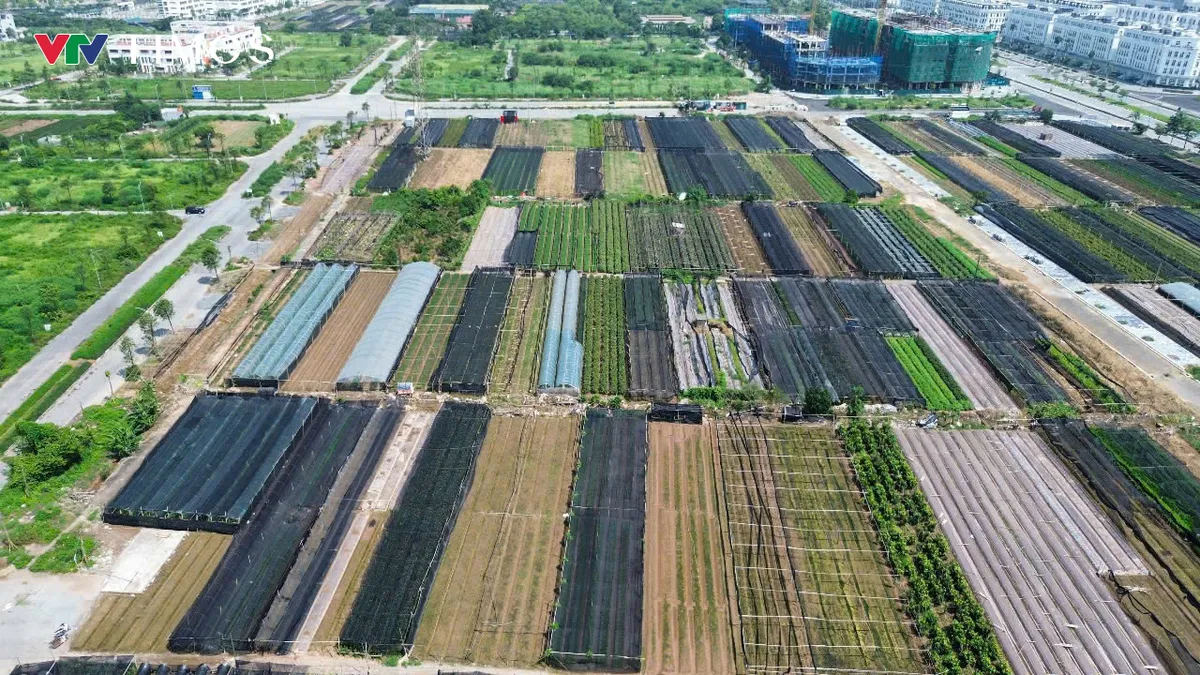 Hơn 3ha đất tại Tây Tựu được quy hoạch xây nhà ở xã hội đến năm 2030 - Ảnh 7.