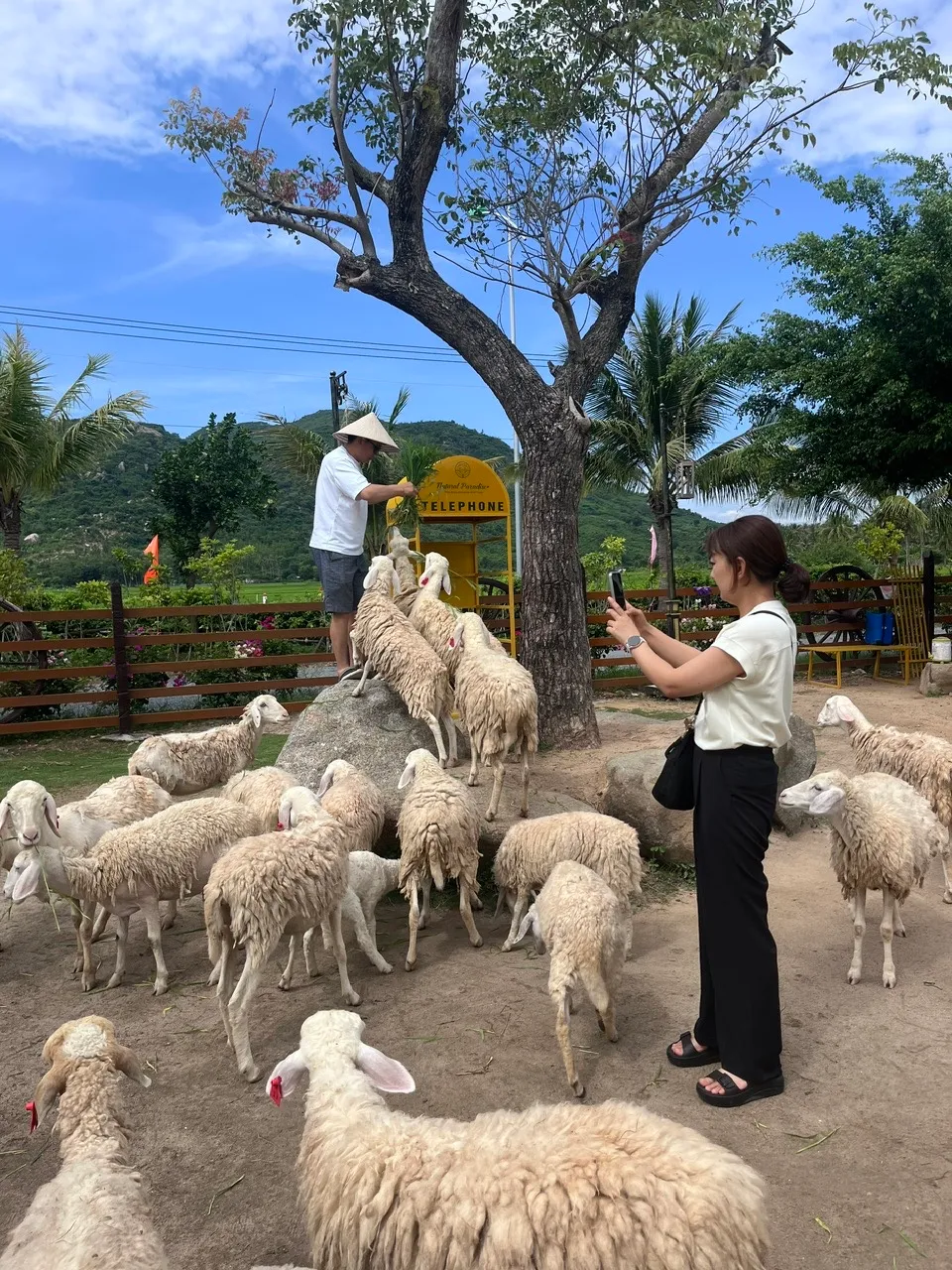 Định vị lại du lịch Khánh Hòa - Ảnh 9.