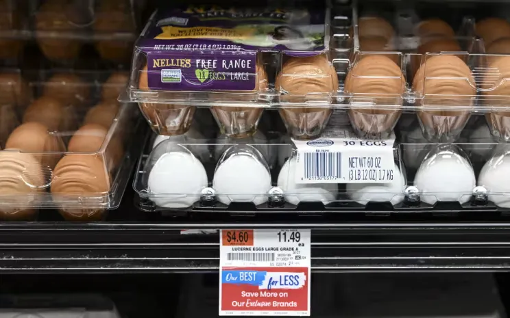 (Ảnh minh họa: Anadolu Agency/Getty Images)