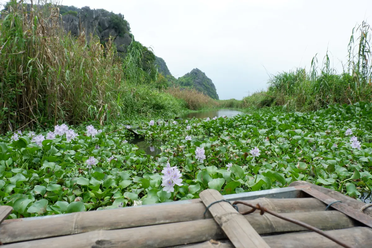 Cộng đồng chung tay làm du lịch bền vững để bảo tồn loài voọc ở Vân Long- Ảnh 11.