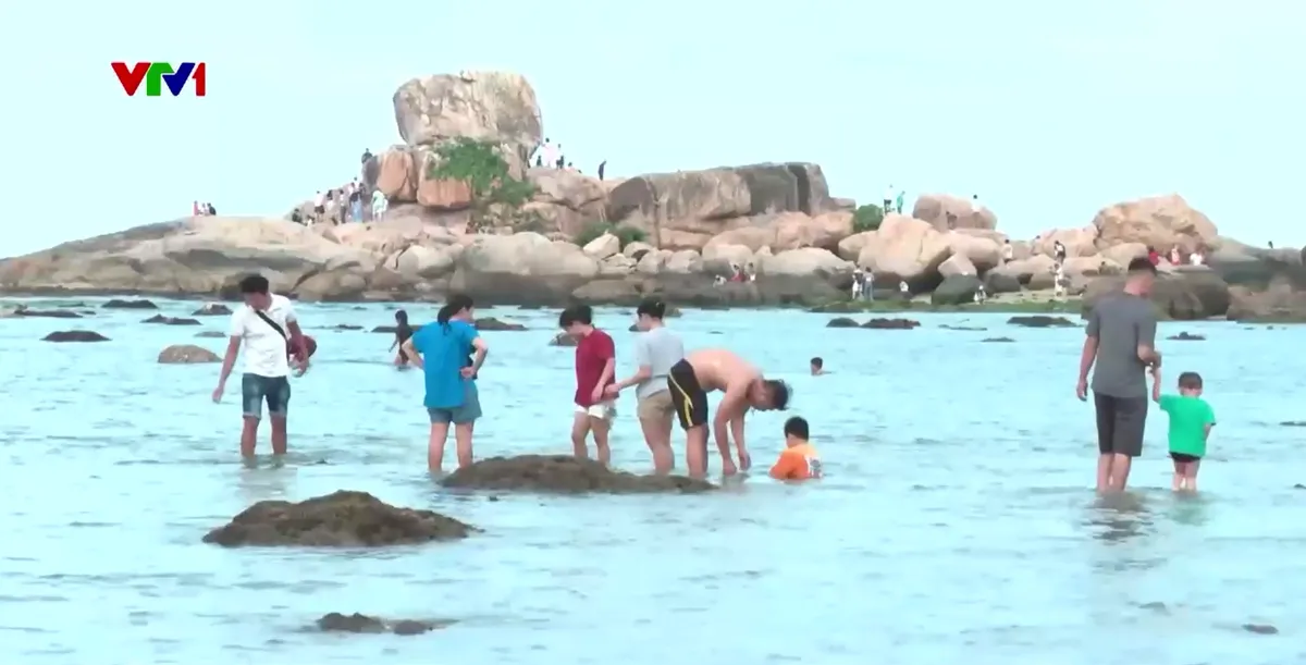 Gian nan hành trình bảo vệ san hô ven bờ - Ảnh 2.