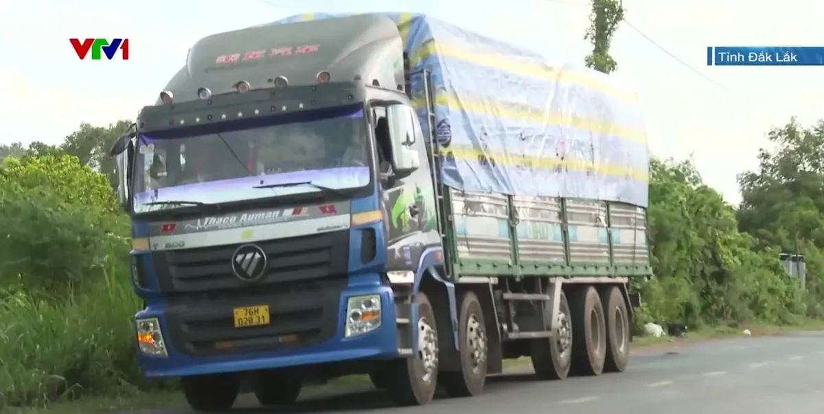 Kiên quyết xử lý xe quá tải, không có vùng cấm - Ảnh 3.