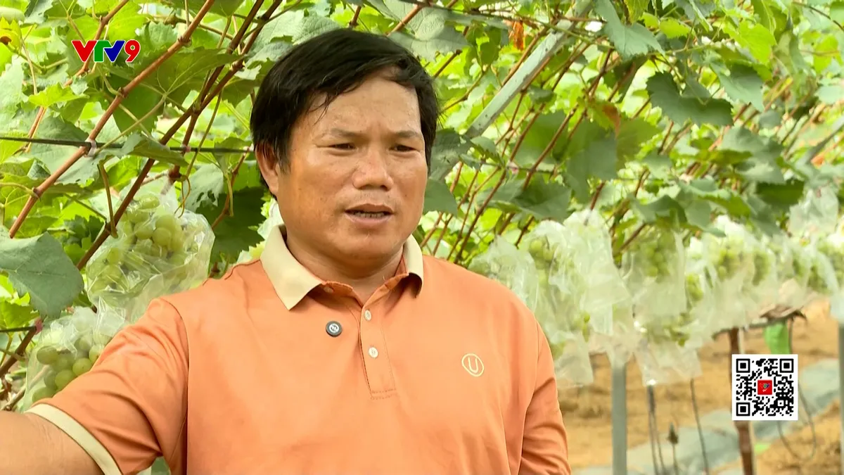 pnhn-1407-atpn bùi trọng nam.jpg