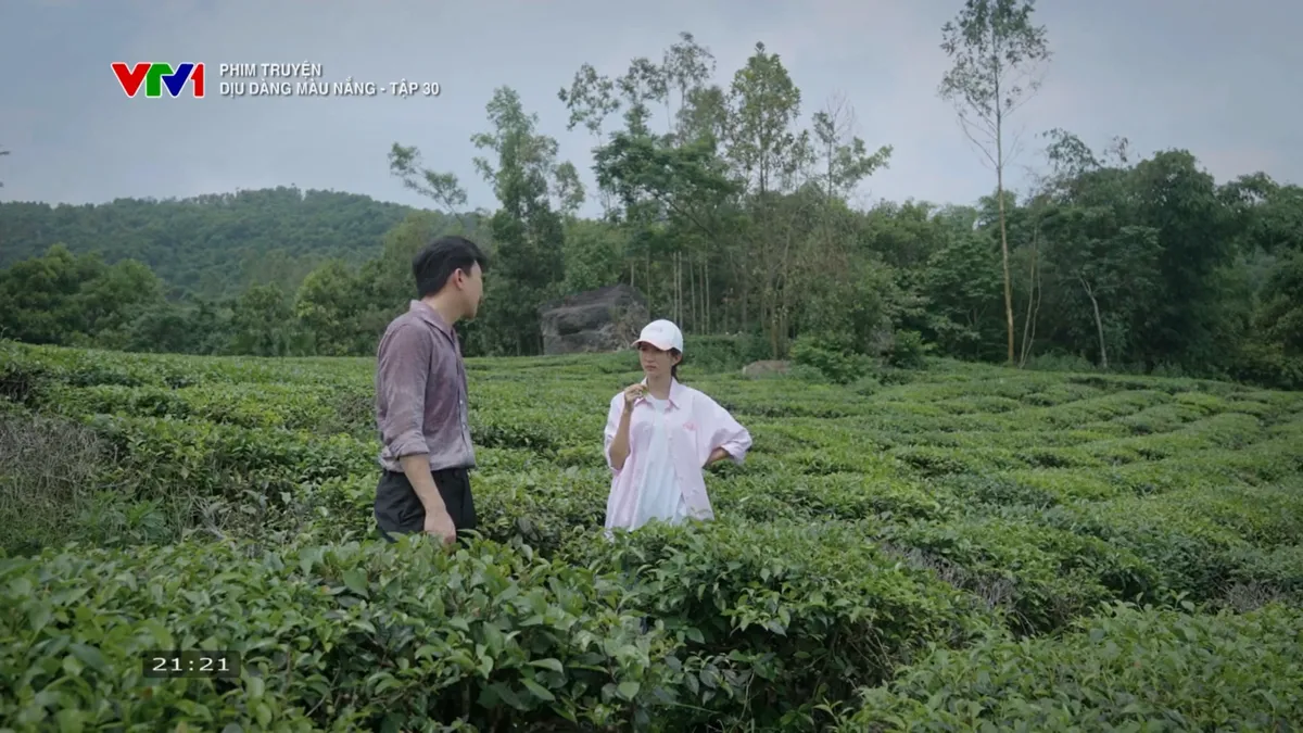 Dịu d&agrave;ng m&agrave;u nắng - Tập 30: T&igrave;nh cảm Phong - Xu&acirc;n chớm nở - Ảnh 6.