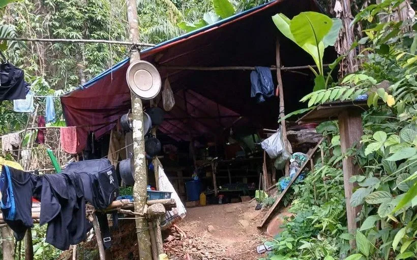Một lán trại của vàng tặc bị cơ quan chức năng phát hiện. (Ảnh: TTXVN)