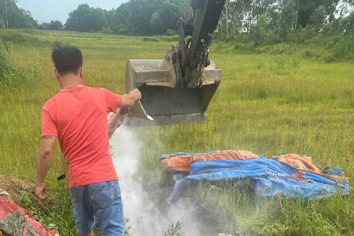 Nghệ An: Rùng rợn lợn chết dịch bị vứt ra sông, gây ô nhiễm môi trường nghiêm trọng - Ảnh 3.