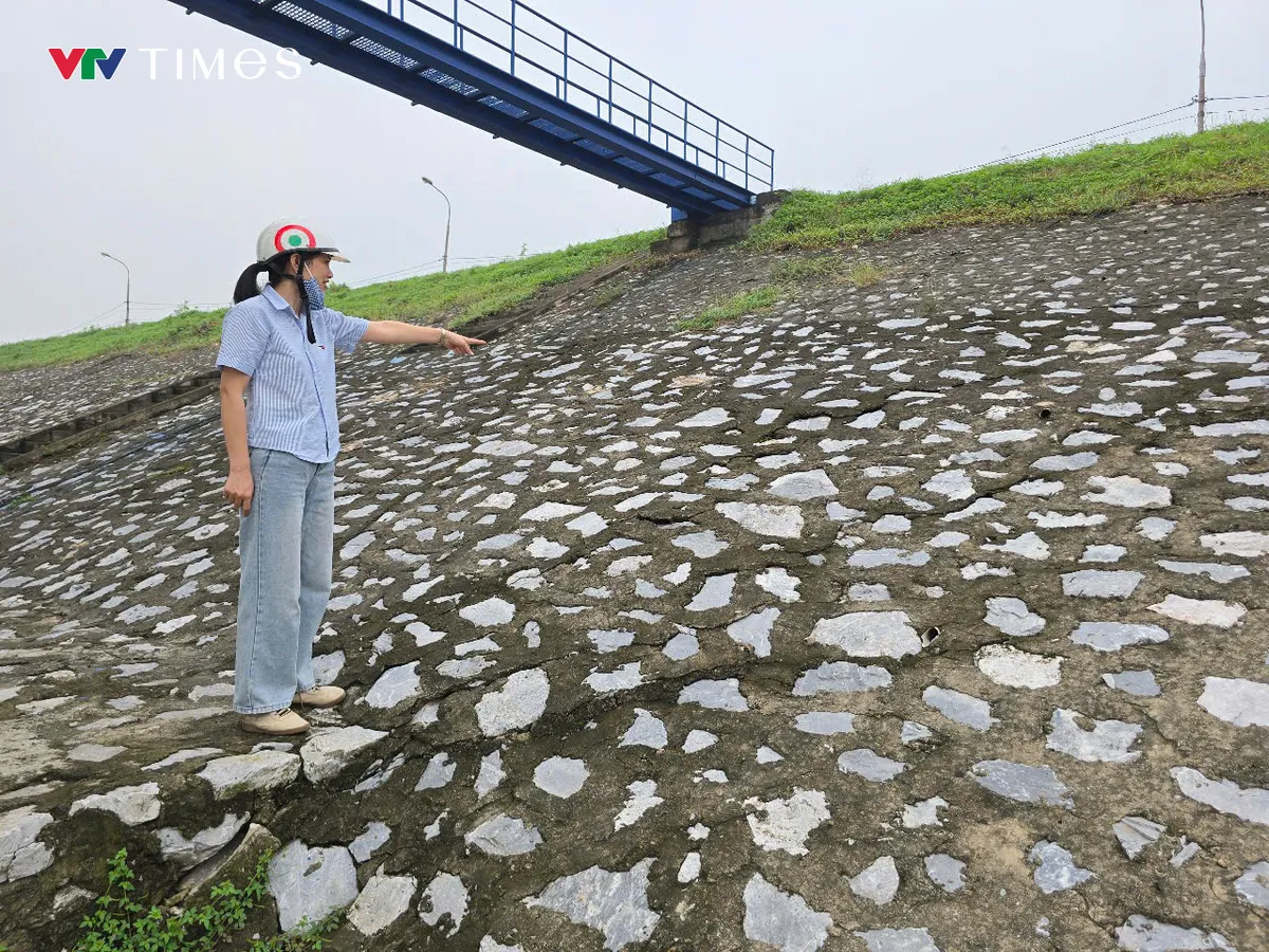 H&agrave; Nội: chủ động bảo vệ c&aacute;c trọng điểm xung yếu đ&ecirc; điều - Ảnh 6.