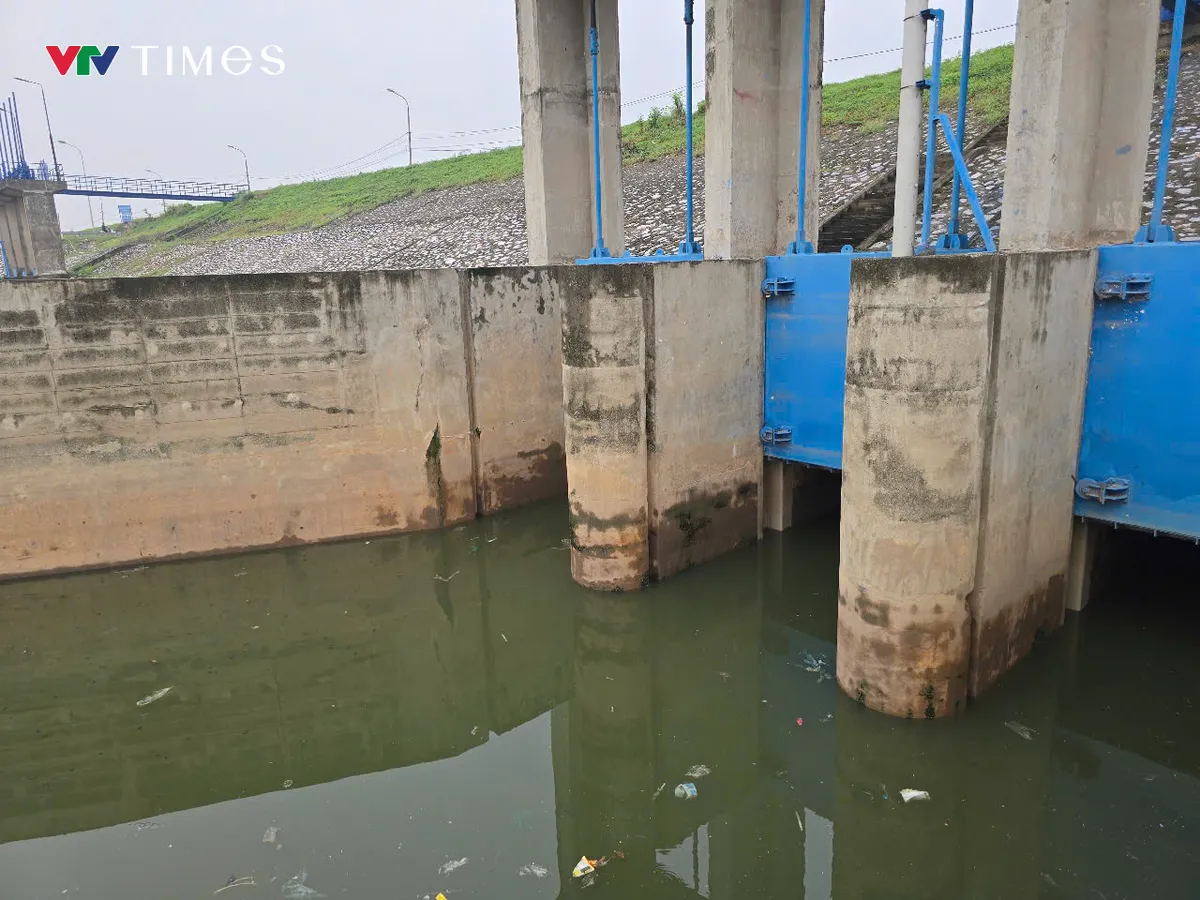 H&agrave; Nội: chủ động bảo vệ c&aacute;c trọng điểm xung yếu đ&ecirc; điều - Ảnh 5.