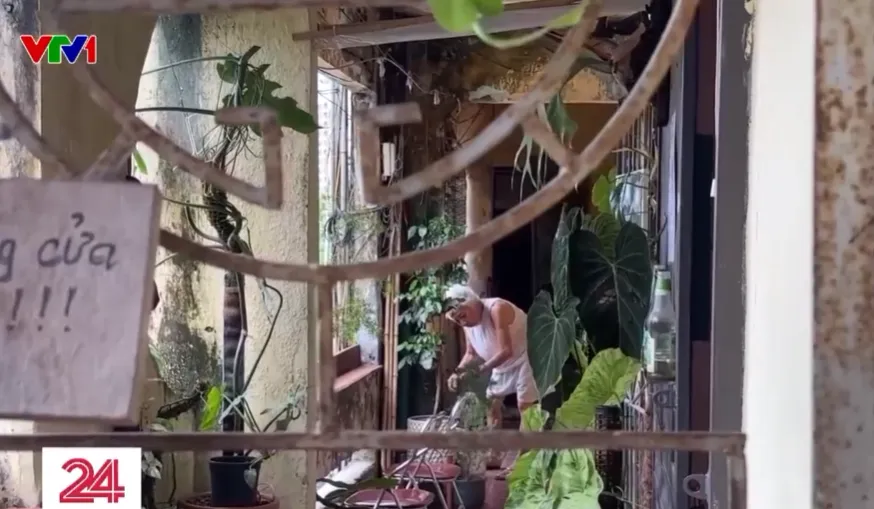 Hà Nội: Người dân cố bám trụ trong các khu tập thể cũ có nguy cơ đổ sập - Ảnh 2.