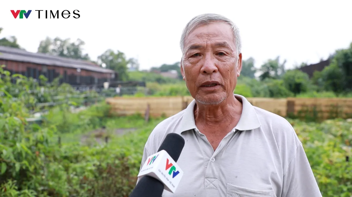 Đồng Nai: Hơn 20 năm mỏi m&ograve;n chờ bồi thường đất bị thu hồi - Ảnh 1.