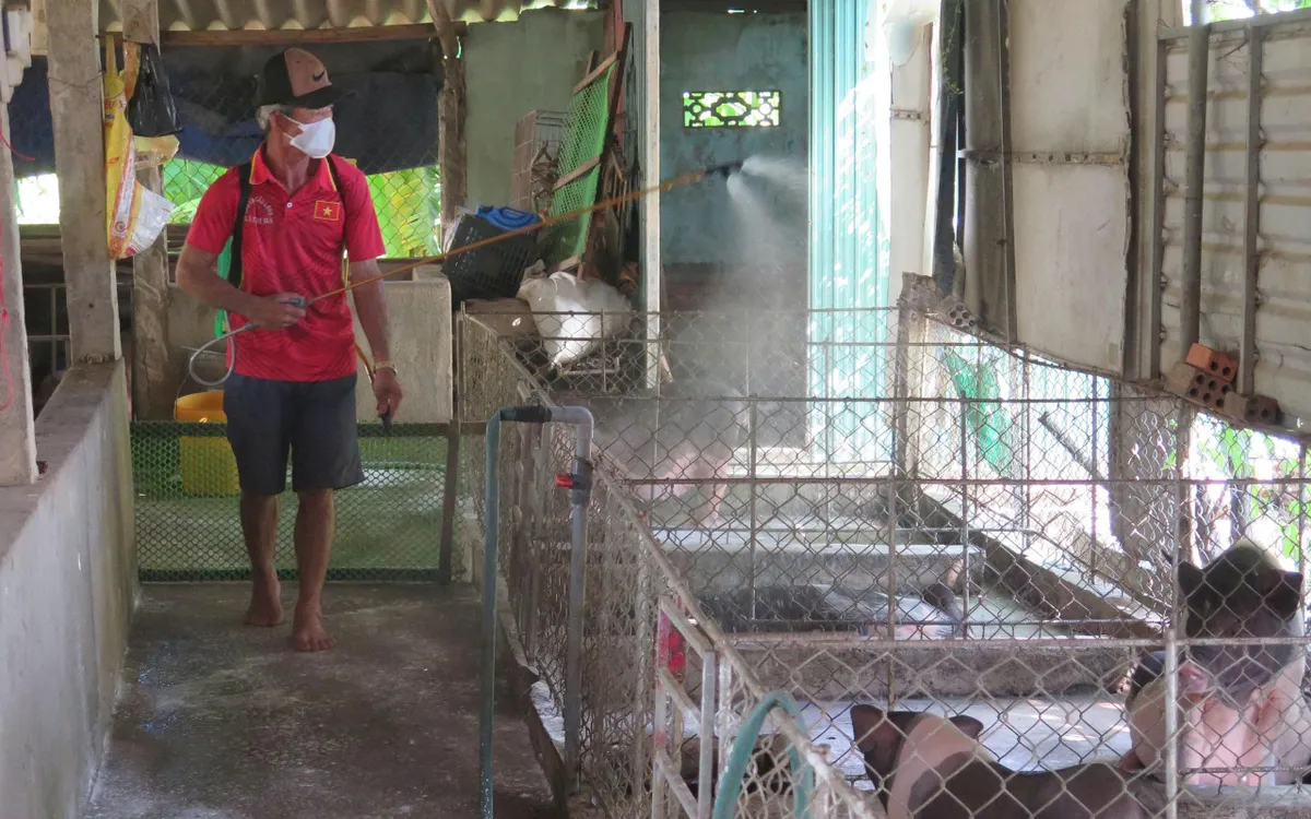 Các hộ chăn nuôi về vệ sinh, tiêu độc khu vực chuồng trại Các hộ chăn nuôi về vệ sinh, tiêu độc khu vực chuồng trại