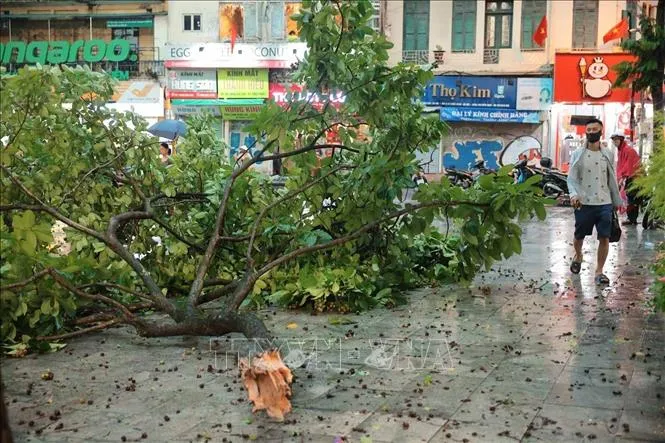 Hà Nội: Dông lốc thổi mạnh gây đổ nhiều phương tiện - Ảnh 5.