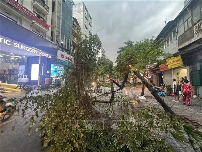 Hà Nội: Dông lốc thổi mạnh gây đổ nhiều phương tiện - Ảnh 2.